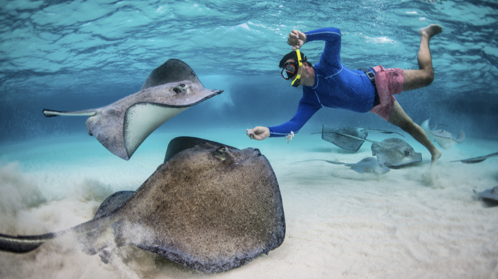 Snorkelling on a Caribbean cruise